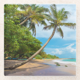 Posavasos De Vidrio Palma de coco, playa el Sri Lanka de Mirissa