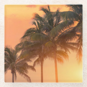 Posavasos De Vidrio Palmas de Miami
