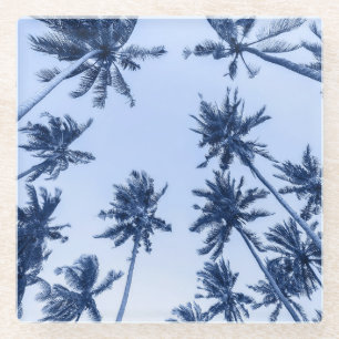 Posavasos De Vidrio Palmeras altas, cielo azul claro.