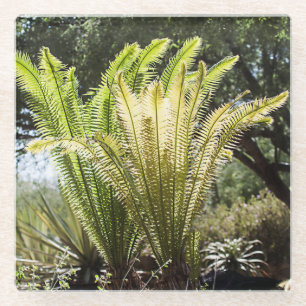 Posavasos De Vidrio Palmeras iluminadas