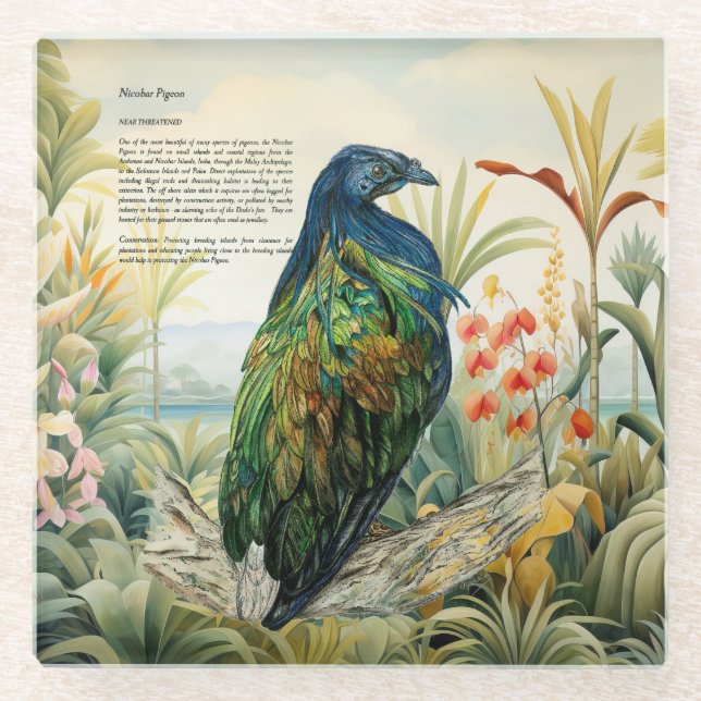 Posavasos De Vidrio Paloma de Nicobar Pintada A Mano Dramática (Anverso)