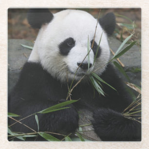 Posavasos De Vidrio Panda gigante