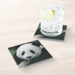 Posavasos De Vidrio Panda Gigante en Suave Césped Verde