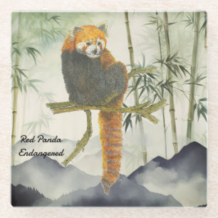 Posavasos De Vidrio Panda Rojo Cute Pintado A Mano En Peligro