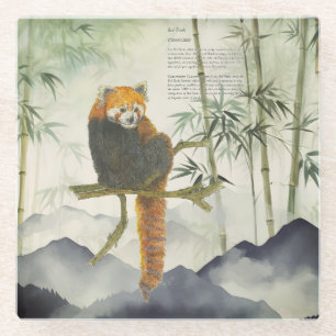 Posavasos De Vidrio Panda Rojo Cute Pintado A Mano En Peligro