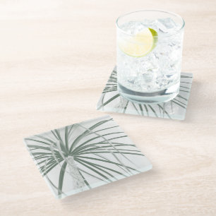 Posavasos De Vidrio Papel de palma de cola poniente en blanco
