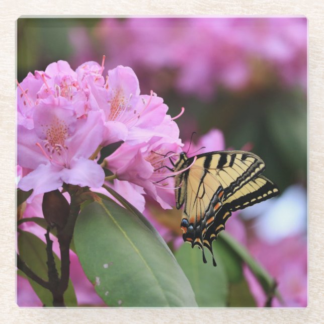 Posavasos De Vidrio Paraíso de las mariposas (Anverso)