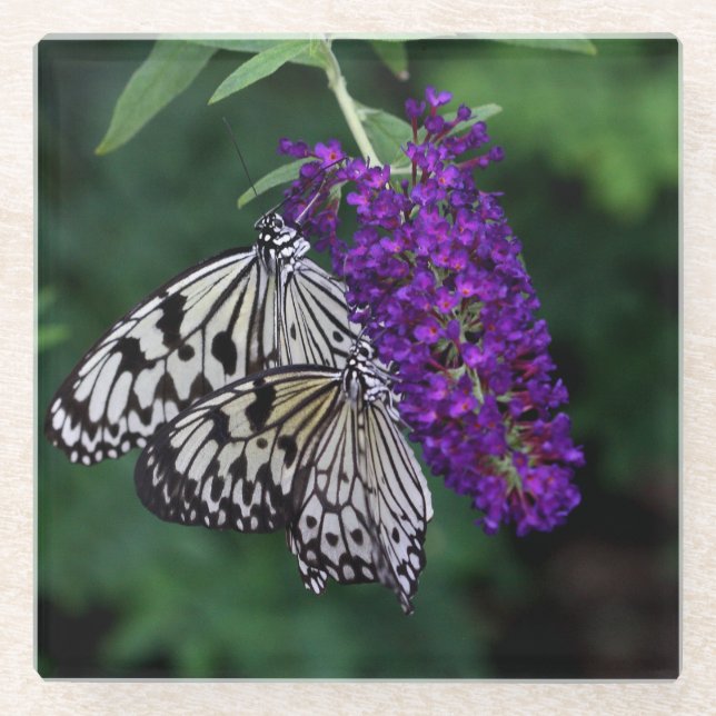 Posavasos De Vidrio Pareja de mariposas de cometas de papel (Anverso)