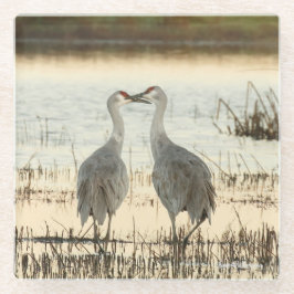 Posavasos De Vidrio Pareja Sandhill Crane Sunrise