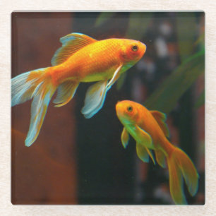 Posavasos De Vidrio Pares de Goldfish afortunado
