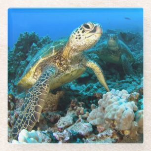 Posavasos De Vidrio Pares de la tortuga