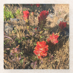 Posavasos De Vidrio Parque Estatal Sisters Rock, Costa de Oregón