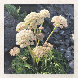 Posavasos De Vidrio Parque Estatal Sisters Rock, Costa de Oregón