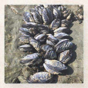 Posavasos De Vidrio Parque Estatal Sisters Rock, Costa de Oregón