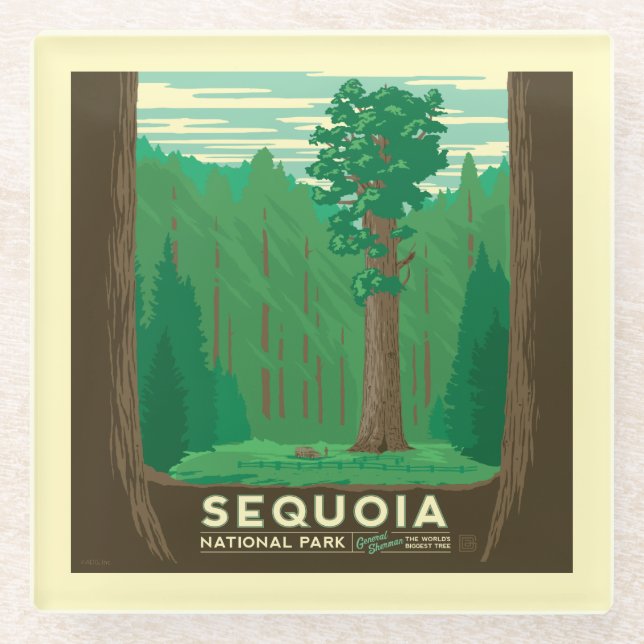 Posavasos De Vidrio Parque nacional Sequoia (Anverso)