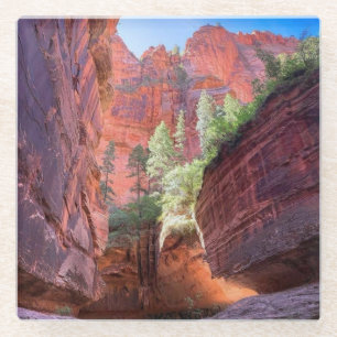 Posavasos De Vidrio Parque Nacional Zion, Utah, Estados Unidos