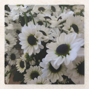 Posavasos De Vidrio Pascua - Daisies blancos y negros