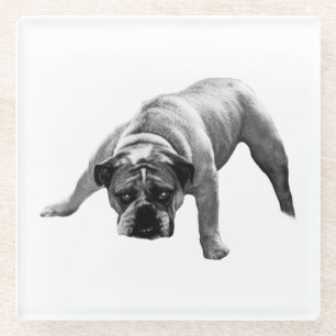 Posavasos De Vidrio Pascua de Bulldog vigilante