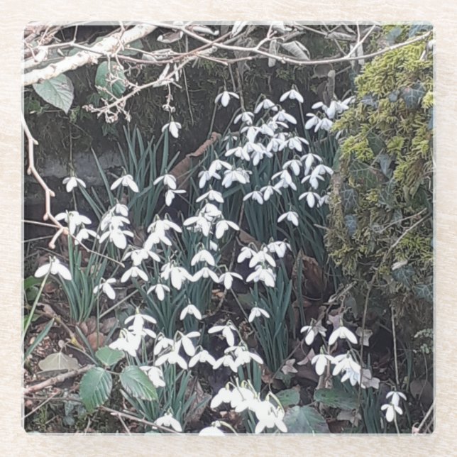 Posavasos De Vidrio Pascua de cristal de las gotas de nieve de primave (Anverso)