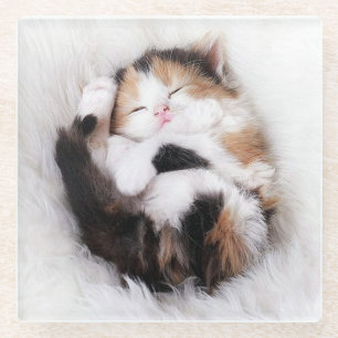 Posavasos De Vidrio Pascua de gato gatito para dormir
