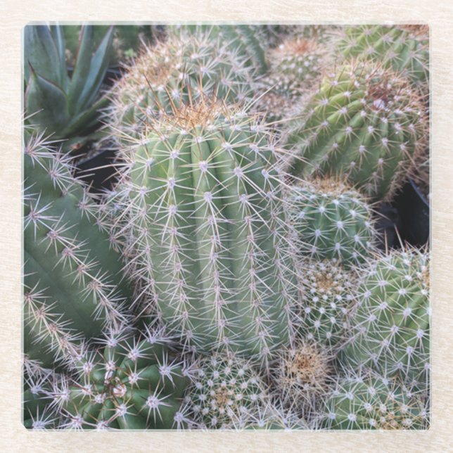 Posavasos De Vidrio Pascua de vidrio de Cactus (Anverso)