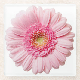 Posavasos De Vidrio Pascua De Vidrio De Flor Rosa Gerbera Daisy