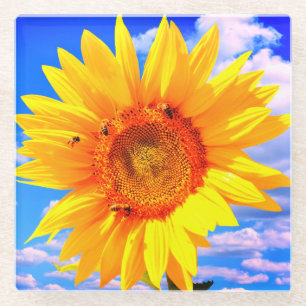 Posavasos De Vidrio Pascua de vidrio de girasol y abejas