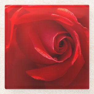Posavasos De Vidrio Pascua de vidrio de rosa rojo
