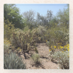 Posavasos De Vidrio Pascua de vidrio del desierto