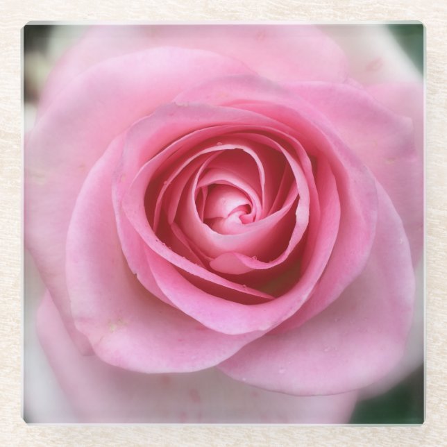 Posavasos De Vidrio Pascua de vidrio rosa rosa (Anverso)