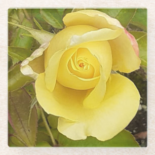 Posavasos De Vidrio Pascua de vidrio Rosebud amarillo