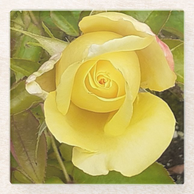 Posavasos De Vidrio Pascua de vidrio Rosebud amarillo (Anverso)