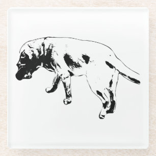 Posavasos De Vidrio Pasos e historias