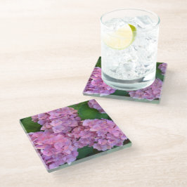 Posavasos De Vidrio Pastel rosa Hortensia hidrangea flor