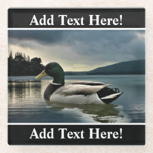Posavasos De Vidrio Pato Mallard En El Lago