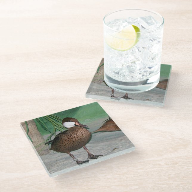 Posavasos De Vidrio Patos (Angular)
