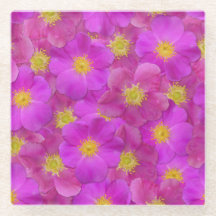 Patrón sin soldadura de Rosa salvaje