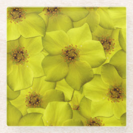 Posavasos De Vidrio Patrón sin soldadura de Shrubby Cinquefoil