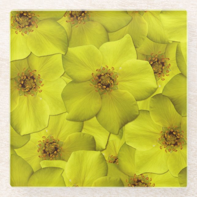 Posavasos De Vidrio Patrón sin soldadura de Shrubby Cinquefoil (Anverso)