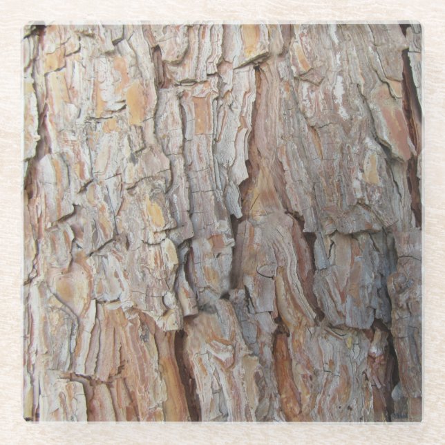 Posavasos De Vidrio Patrones de otoño de caída de la barra de árbol (Anverso)