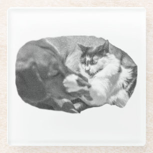 Posavasos De Vidrio Pausa de luz