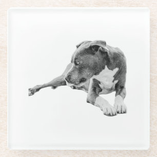 Posavasos De Vidrio Pausa de otoño