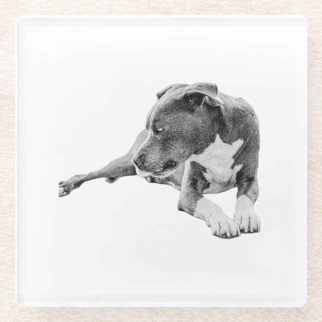 Posavasos De Vidrio Pausa de otoño (Anverso)