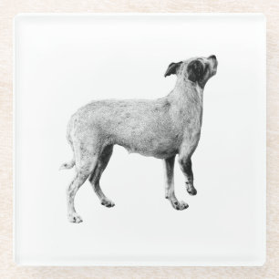 Posavasos De Vidrio Pausa lateral: Mirando hacia arriba