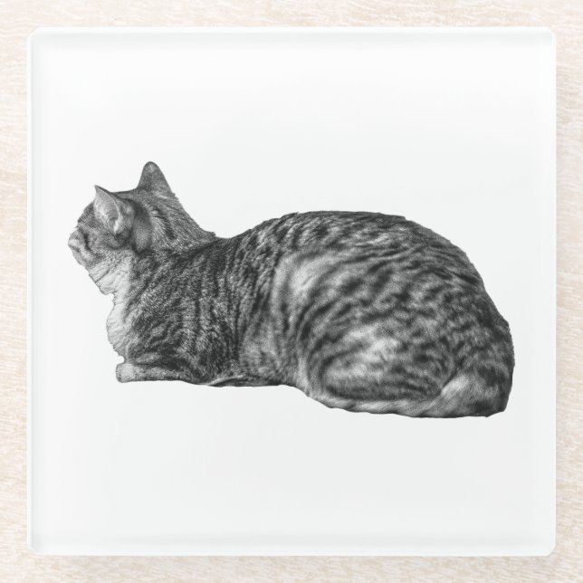 Posavasos De Vidrio Pausa pequeña, Poise Tabby (Anverso)