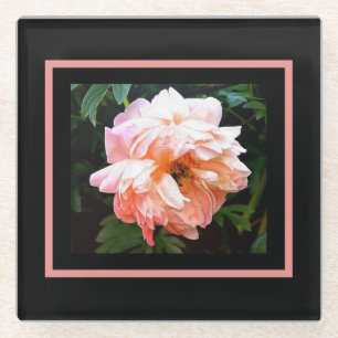 Posavasos De Vidrio Peonia de primavera romántica en la pradera páli
