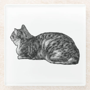 Posavasos De Vidrio Pequeña pausa, amigo a rayas