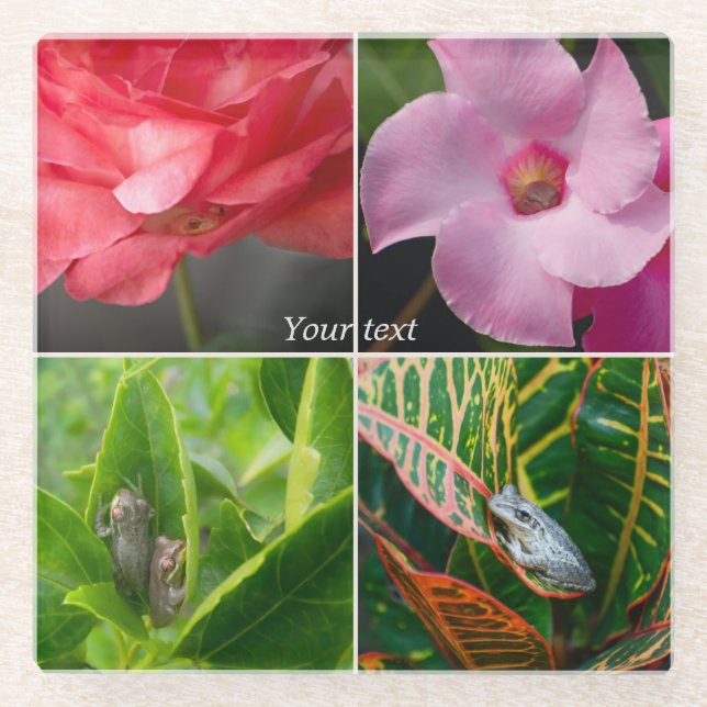 Posavasos De Vidrio Pequeñas ranas tropicales de árboles en flores y h (Anverso)