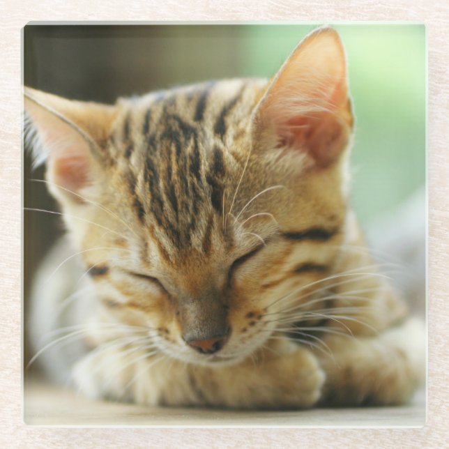 Posavasos De Vidrio Pequeño gatito del bebé el dormir (Anverso)