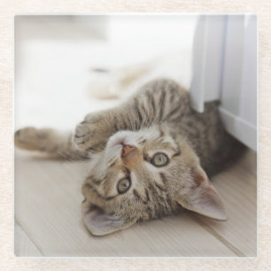 Posavasos De Vidrio Pequeño gatito lindo